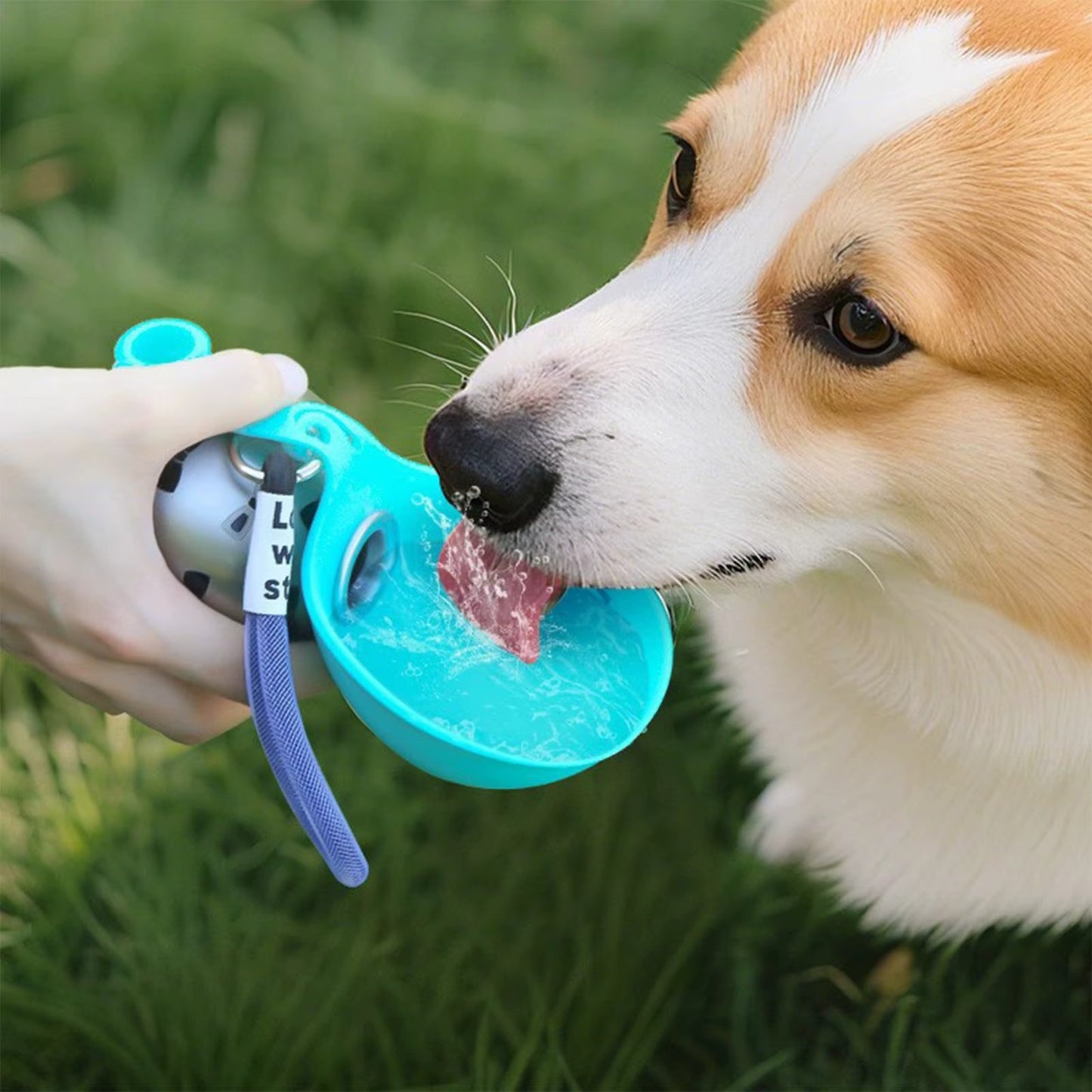Portable 2-in-1 Pet Water Bottle